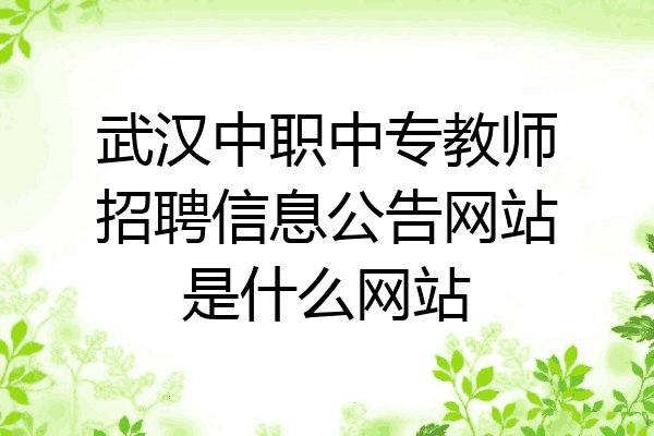 武汉中职中专教师招聘信息公告网站是什么网站