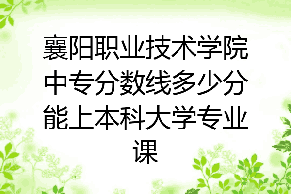 襄阳职业技术学院中专分数线多少分能上本科大学专业课