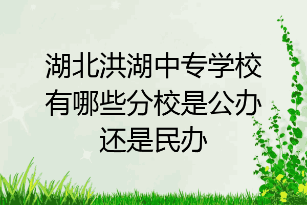 湖北洪湖中专学校有哪些分校是公办还是民办
