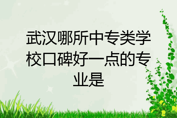 武汉哪所中专类学校口碑好一点的专业是