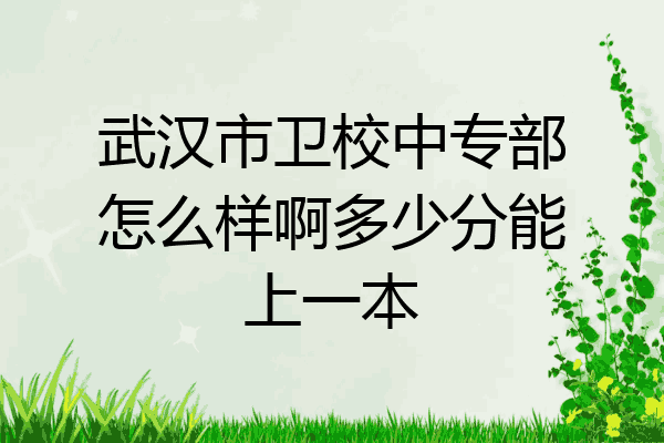 武汉市卫校中专部怎么样啊多少分能上一本