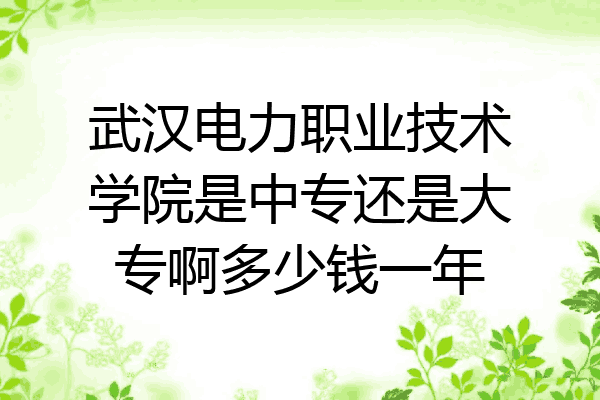 武汉电力职业技术学院是中专还是大专啊多少钱一年