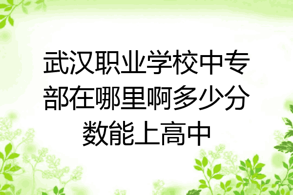 武汉职业学校中专部在哪里啊多少分数能上高中