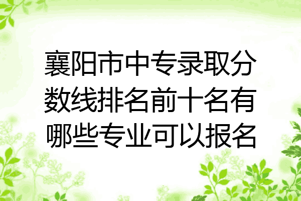 襄阳市中专录取分数线排名前十名有哪些专业可以报名