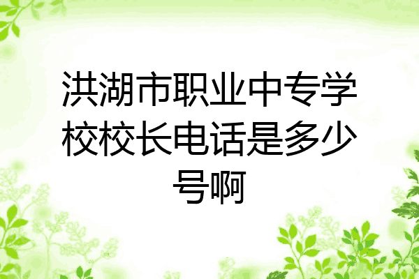 洪湖市职业中专学校校长电话是多少号啊