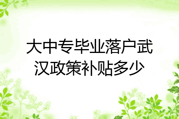 大中专毕业落户武汉政策补贴多少