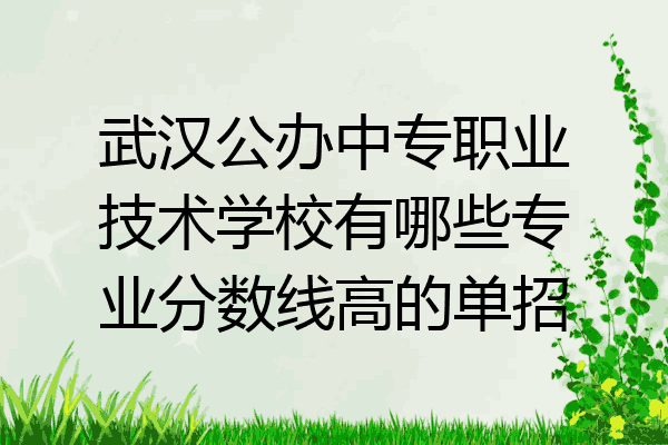 武汉公办中专职业技术学校有哪些专业分数线高的单招