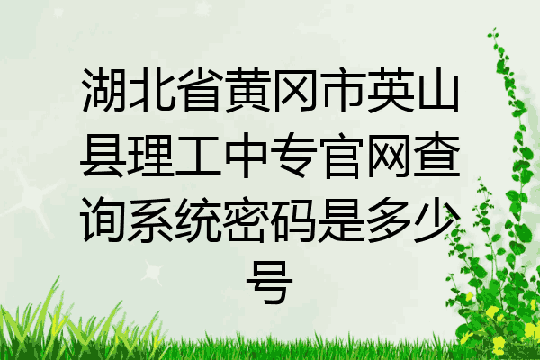 湖北省黄冈市英山县理工中专官网查询系统密码是多少号