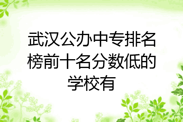 武汉公办中专排名榜前十名分数低的学校有