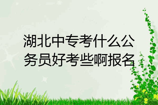 湖北中专考什么公务员好考些啊报名