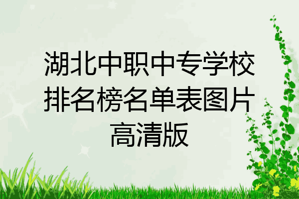 湖北中职中专学校排名榜名单表图片高清版