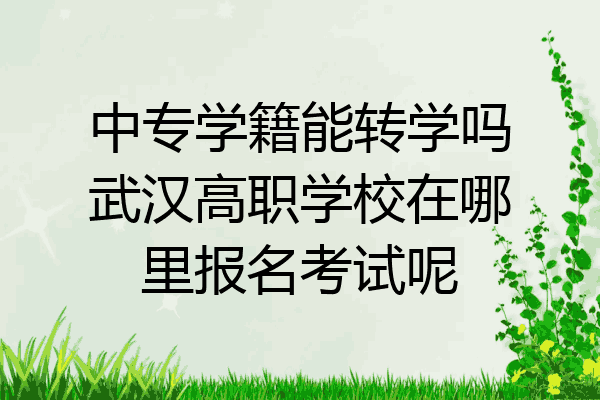 中专学籍能转学吗武汉高职学校在哪里报名考试呢