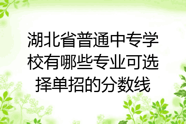 湖北省普通中专学校有哪些专业可选择单招的分数线