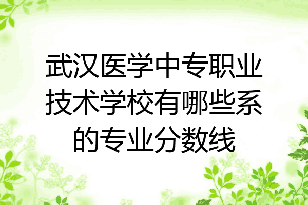 武汉医学中专职业技术学校有哪些系的专业分数线