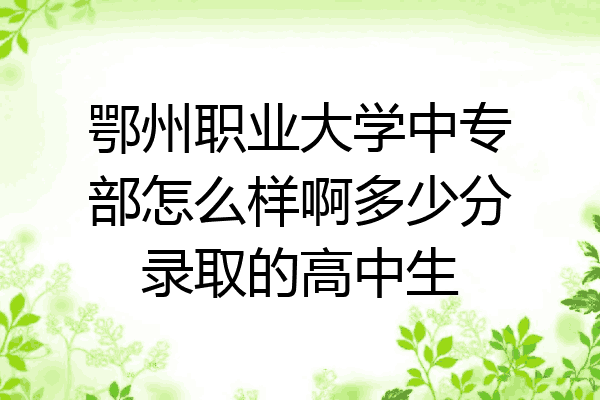 鄂州职业大学中专部怎么样啊多少分录取的高中生