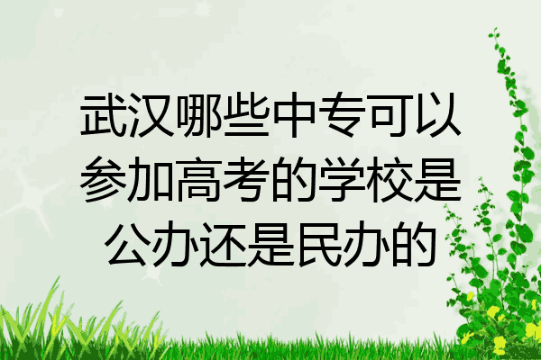 武汉哪些中专可以参加高考的学校是公办还是民办的