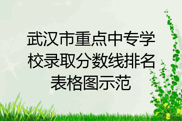 武汉市重点中专学校录取分数线排名表格图示范