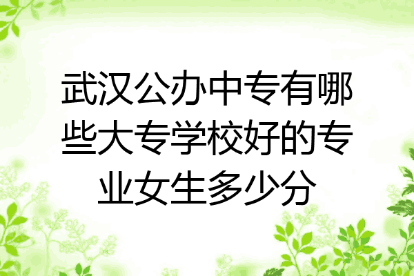 武汉公办中专有哪些大专学校好的专业女生多少分