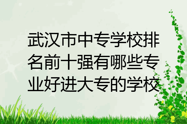 武汉市中专学校排名前十强有哪些专业好进大专的学校