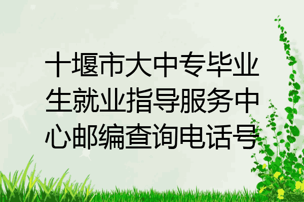 十堰市大中专毕业生就业指导服务中心邮编查询电话号