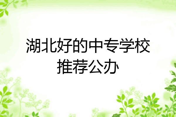 湖北好的中专学校推荐公办