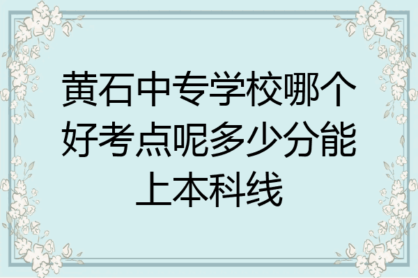 黄石中专学校哪个好考点呢多少分能上本科线