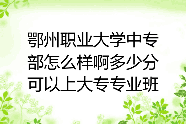 鄂州职业大学中专部怎么样啊多少分可以上大专专业班