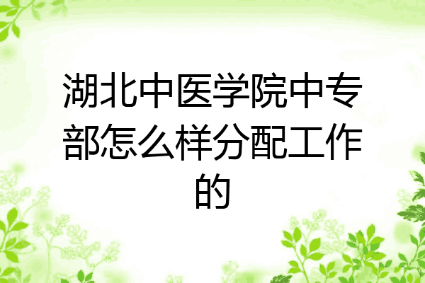 湖北中医学院中专部怎么样分配工作的