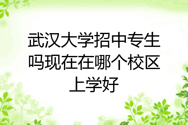 武汉大学招中专生吗现在在哪个校区上学好