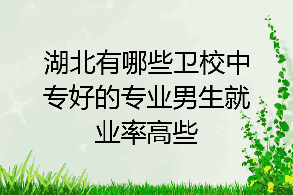 湖北有哪些卫校中专好的专业男生就业率高些
