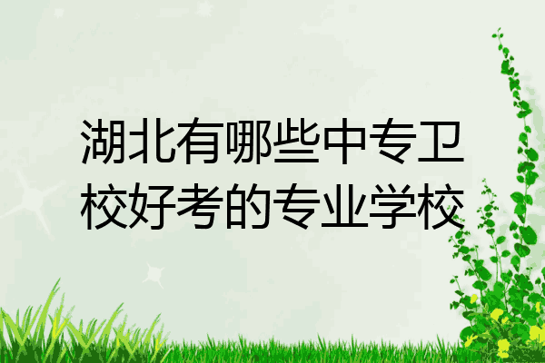 湖北有哪些中专卫校好考的专业学校