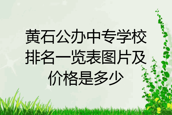 黄石公办中专学校排名一览表图片及价格是多少