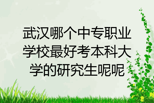 武汉哪个中专职业学校最好考本科大学的研究生呢呢