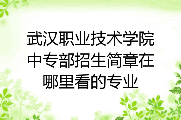 武汉职业技术学院中专部招生简章在哪里看的专业