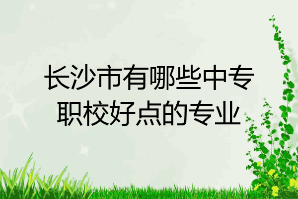 长沙市有哪些中专职校好点的专业