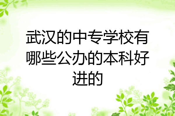 武汉的中专学校有哪些公办的本科好进的