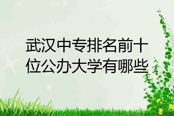 武汉中专排名前十位公办大学有哪些