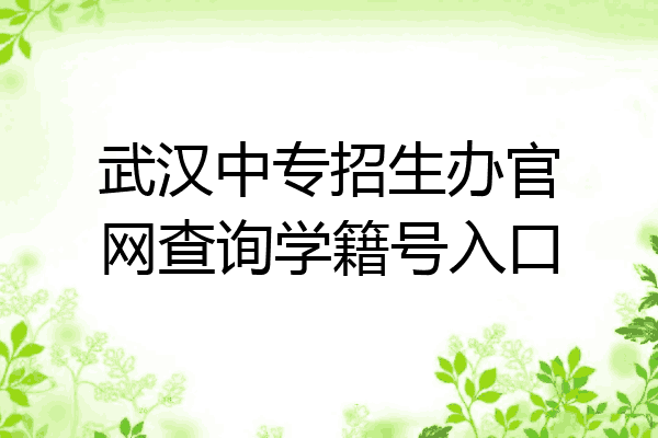 武汉中专招生办官网查询学籍号入口
