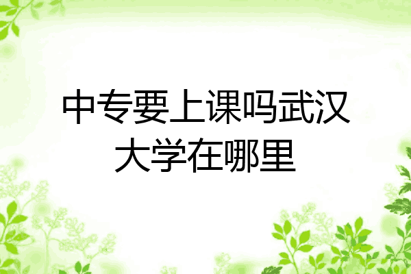 中专要上课吗武汉大学在哪里