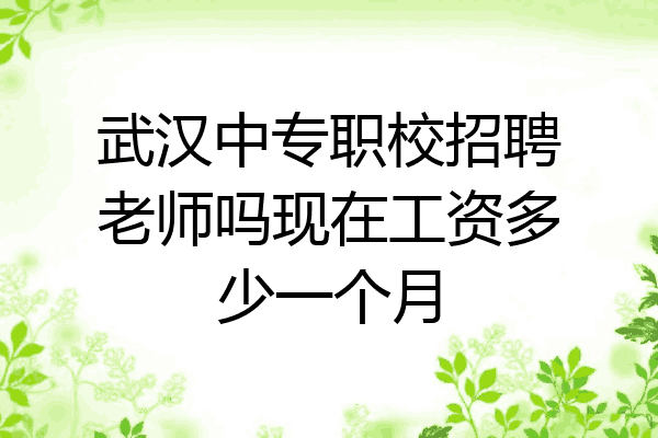 武汉中专职校招聘老师吗现在工资多少一个月