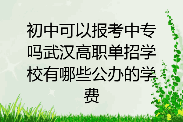 初中可以报考中专吗武汉高职单招学校有哪些公办的学费