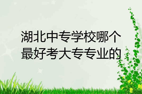 湖北中专学校哪个最好考大专专业的