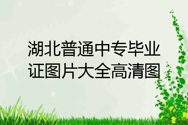 湖北普通中专毕业证图片大全高清图