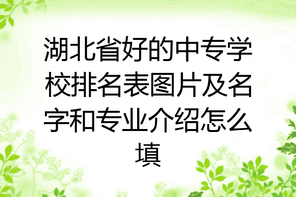 湖北省好的中专学校排名表图片及名字和专业介绍怎么填