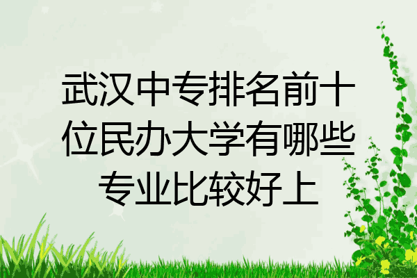 武汉中专排名前十位民办大学有哪些专业比较好上