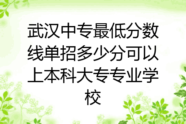 武汉中专最低分数线单招多少分可以上本科大专专业学校