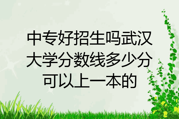 中专好招生吗武汉大学分数线多少分可以上一本的