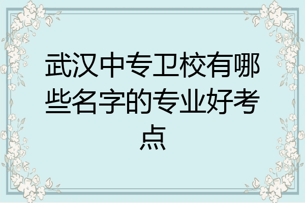 武汉中专卫校有哪些名字的专业好考点
