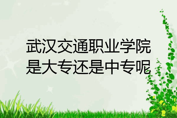 武汉交通职业学院是大专还是中专呢
