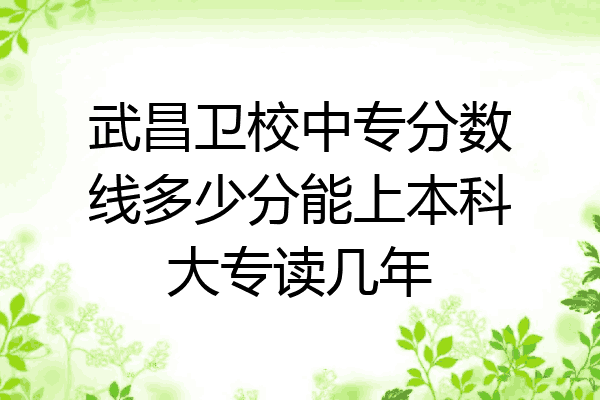 武昌卫校中专分数线多少分能上本科大专读几年